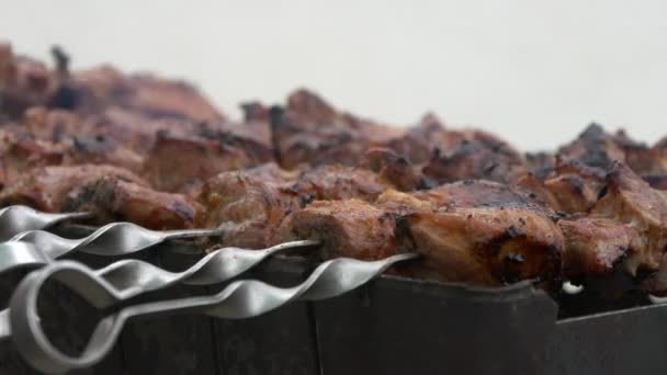 Vlees brochettes op grill. Saus druppels op kebab. Plaatsing van de porties van barbecue. — Stockvideo