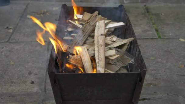 Het branden van hout en kolen in de brazier. Voorbereiding van de barbecue shish kebab en grill — Stockvideo