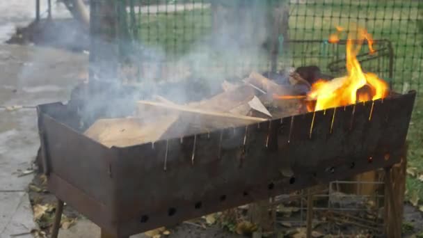 Het branden van hout en kolen in de brazier. Voorbereiding van de barbecue shish kebab en grill — Stockvideo