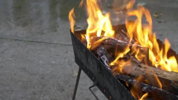 在火盆里燃烧木材和煤。准备烧烤羊肉串和烧烤 — 图库视频影像