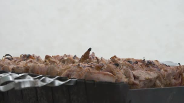 Vlees brochettes op grill. Saus druppels op kebab. Zet vuur en kolen door water — Stockvideo