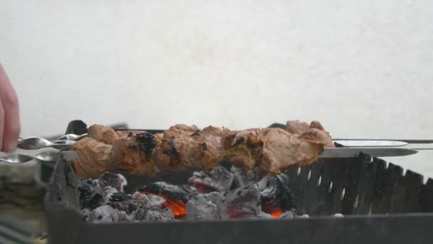 Carne sugli spiedini alla griglia. La salsa gocciola sul kebab. Posizionamento porzioni di barbecue . — Video Stock