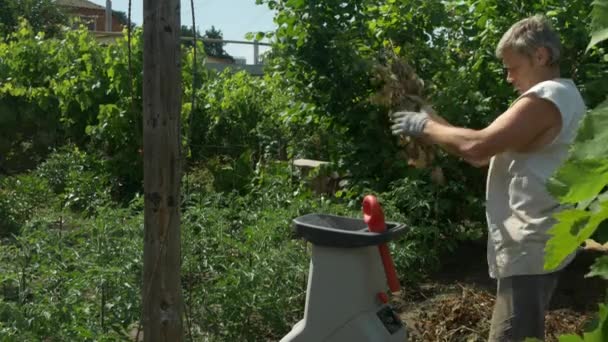 Ο κηπουρός κάνει κοπριά χρησιμοποιώντας κλαδιά τεμαχισμός. Παραγωγή πριονιδίου — Αρχείο Βίντεο