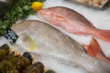 Gruper ve Red Snapper balık pazarında buzda