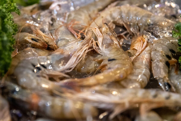 Тигриные креветки или большие креветки охлажденные на льду