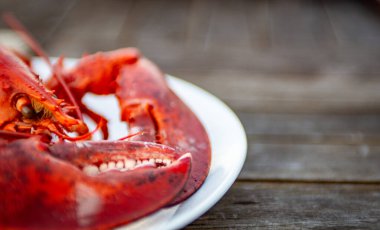 Istakoz kafası ve pençeleri tahta bir masada.