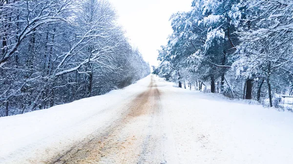 Caminho Floresta Entre Árvores Cobertas Neve Close — Fotografia de Stock