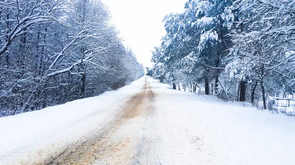 Caminho Floresta Entre Árvores Cobertas Neve Close — Fotografia de Stock