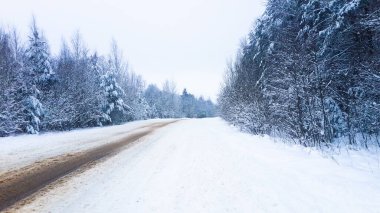 Karla kaplı bir köy, karla kaplı bir ormanın içinde. 