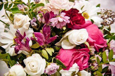 Renkli çiçekler, tropikal bitkiler, yakın plan. 