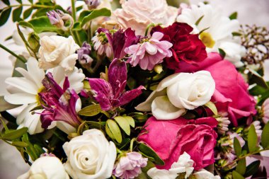 Renkli çiçekler, tropikal bitkiler, yakın plan. 