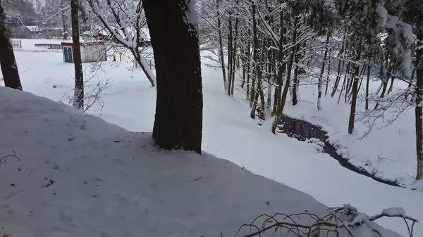 Villaggio Innevato Tra Boschi Innevati Primo Piano — Foto Stock