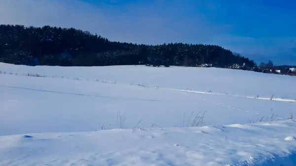 Snow Covered Village Snow Covered Forest Close — Stock Photo, Image