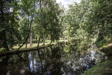 Şehir parkındaki su alanları mavi gökyüzünün altında. 