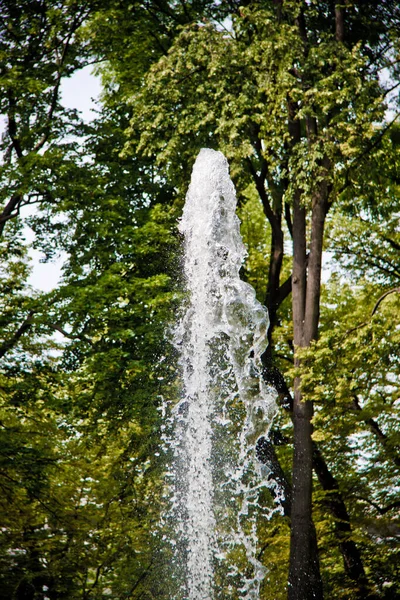 Fontana Epoca Centro Del Parco Primo Piano Sotto Cielo Blu — Foto Stock