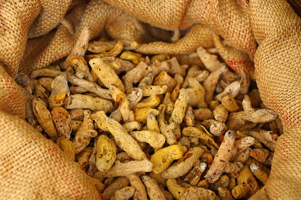 Zerdeçal kökleri çanta içinde