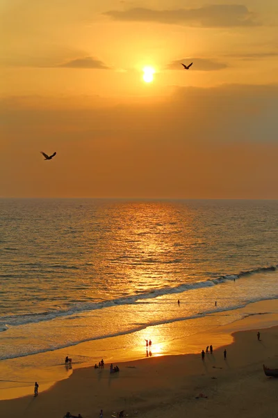 Varkala sahilinde gün batımı. Güney Hindistan
