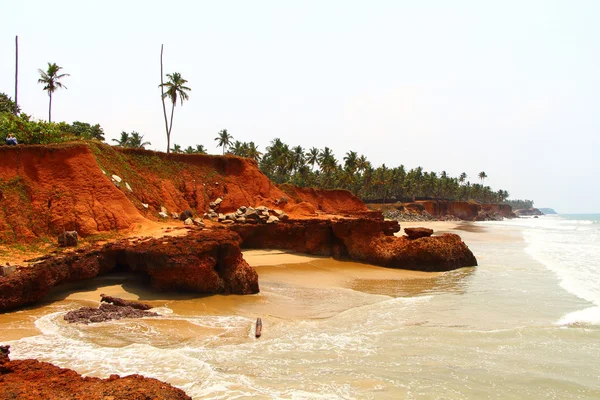 Les paumes. Falaise océanique. Inde du Sud — Photo