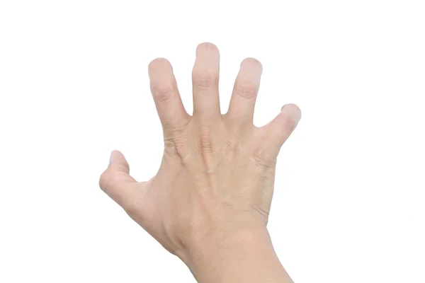 El hareketi. Beyaz arka plan