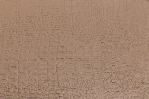 Alligator Leather Texture Colorful — Stock Photo, Image