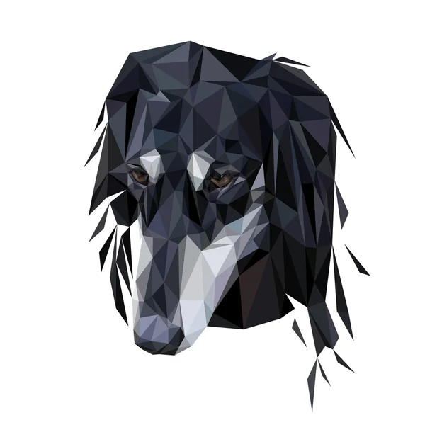 Portrait polygonal Saluki — Image vectorielle