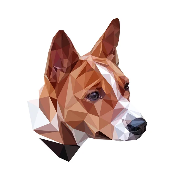 Basenji veelhoekige portret — Stockvector