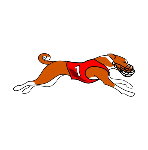 Kör Basenji i röda hund racing klänning — Stock vektor