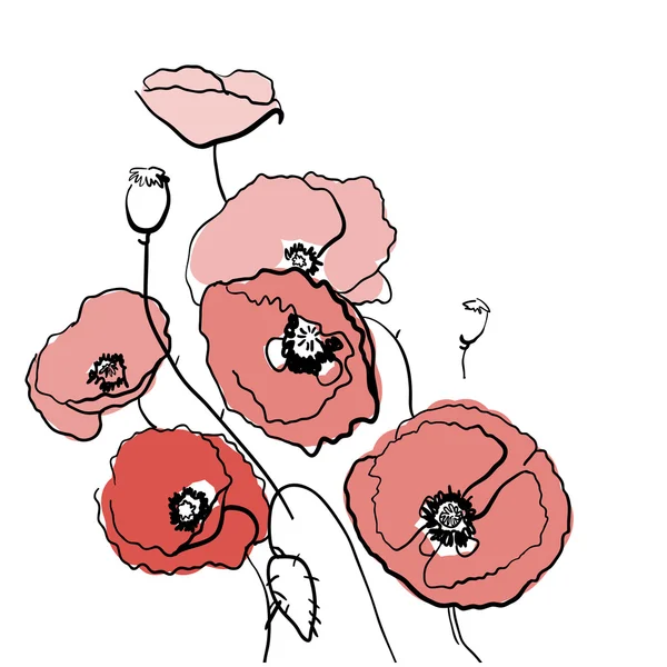 Sketch of poppy Flower — Stock Vector
