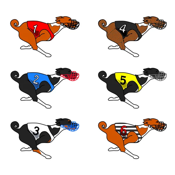 Toutes les couleurs basenji course de chien (robe de course de chien ) — Image vectorielle