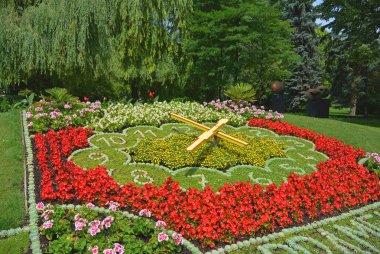 Çiçek saat Park, Podebrady, Çek Cumhuriyeti