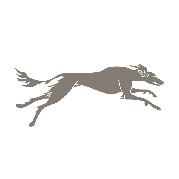 çalışan köpek saluki doğurmak silüeti