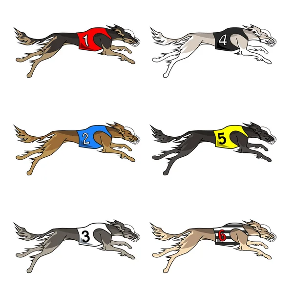 Set of running dog saluki breed — Stock Vector