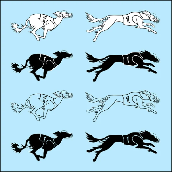 Conjunto de siluetas perro corriendo raza saluki — Archivo Imágenes Vectoriales