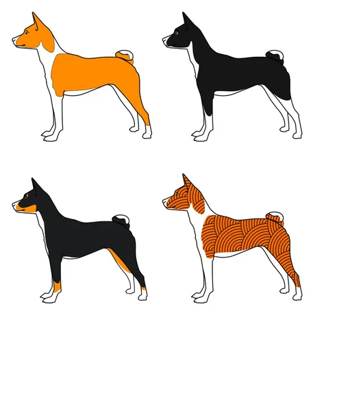 Conjunto vectorial de perros raza basenji, todos los colores — Archivo Imágenes Vectoriales