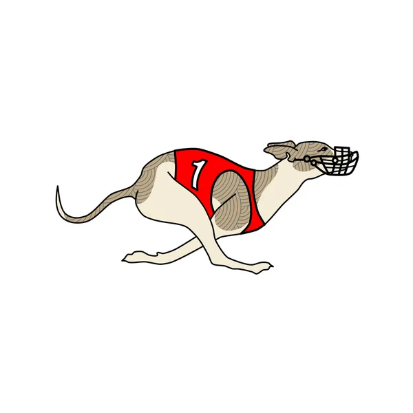 Laufhund Whippet Rasse, im Renndress — Stockvektor