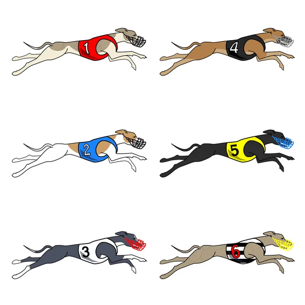 Jeu de chien de course Whippet race — Image vectorielle