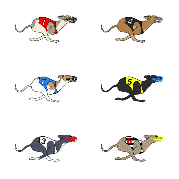 Jeu de chien de course Whippet race — Image vectorielle