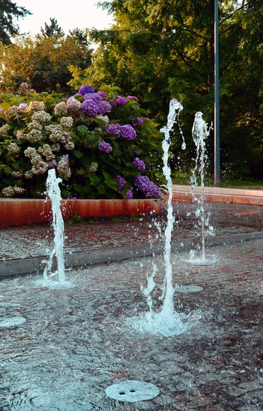 公園で舞い踊る噴水のしぶき。ポジェブラディ — ストック写真