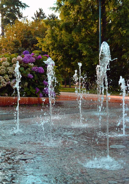 公園で舞い踊る噴水のしぶき。ポジェブラディ — ストック写真