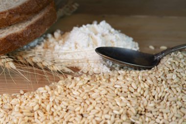 Tahta masada buğday taneleri, buğday kulakları, un ve ekmek dilimleri.