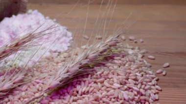 Tahıl taneleri, buğday taneleri, buğday taneleri, buğday kulakları, un ve ekmek dilimleri tahta masa kulaklarında, un ve ekmek dilimleri