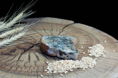 Tahta masada buğday taneleri, buğday kulakları, un ve ekmek dilimleri.