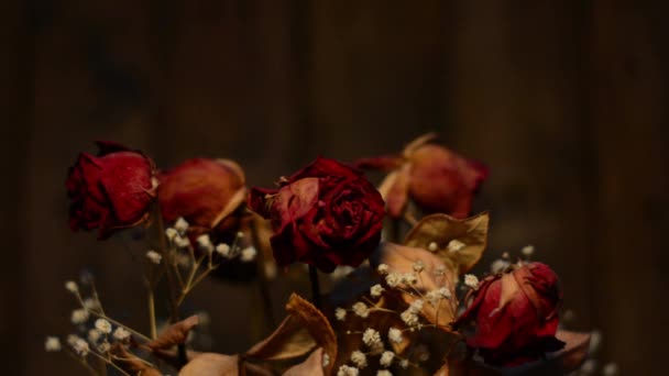 Букет Сушеных Цветов Романтические Огни Мигая — стоковое видео