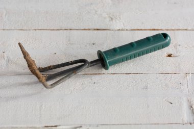 Tarm kavram. apa bahe aletiyle.