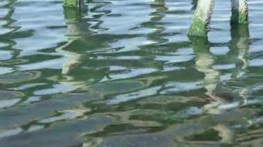 Bir Ahşap İskelenin Sütunları ve Dalgalar Dalgalar Dalgalı Denizde