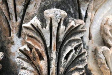 Sütun Başkentleri Afrodizyak Antik Kentinde Resimleri Detaylandırdı