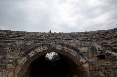 Afrodisias Afrodit (Afrodisias Stadyumu), yerel bir Anadolu, antika doğurganlık tanrıçasıyla aşk ve güzellik tanrıçası Helenik Afrodit 'in özelliklerini birleştirmiştir. Karacasu Aydın 