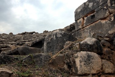 Afrodisias Afrodit (Afrodisias Stadyumu), yerel bir Anadolu, antika doğurganlık tanrıçasıyla aşk ve güzellik tanrıçası Helenik Afrodit 'in özelliklerini birleştirmiştir. Karacasu Aydın 