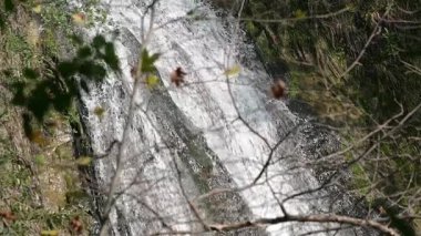 Huzurlu bir ortamda Şelalenin Sesi 'ni dinlemek ve Ağaç Dalları Arasından Şelale' yi izlemek