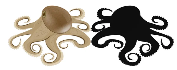 Brown and black octopus on white background. Vector Illustration — Stock Vector
